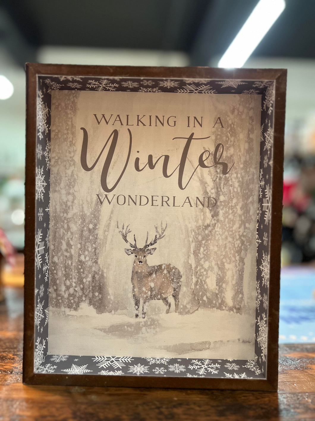 Winter Wonderland Framed Canvas
