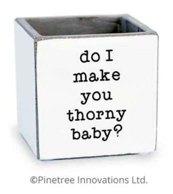 Do I Make You Thorny Planter