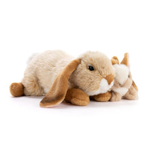 Load image into Gallery viewer, Bunny and Baby
