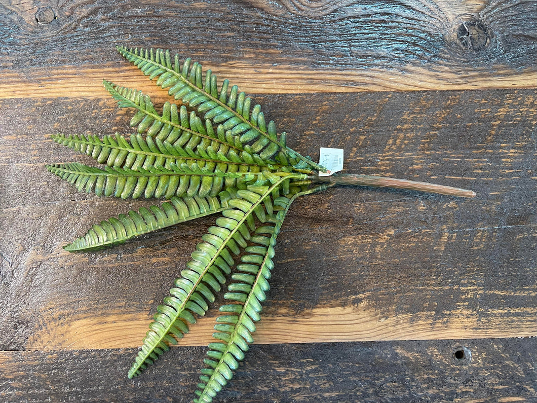 Small Fern Pick