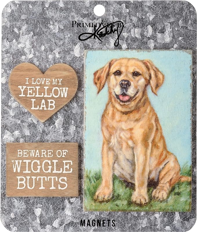 Yellow Lab Magnet Set